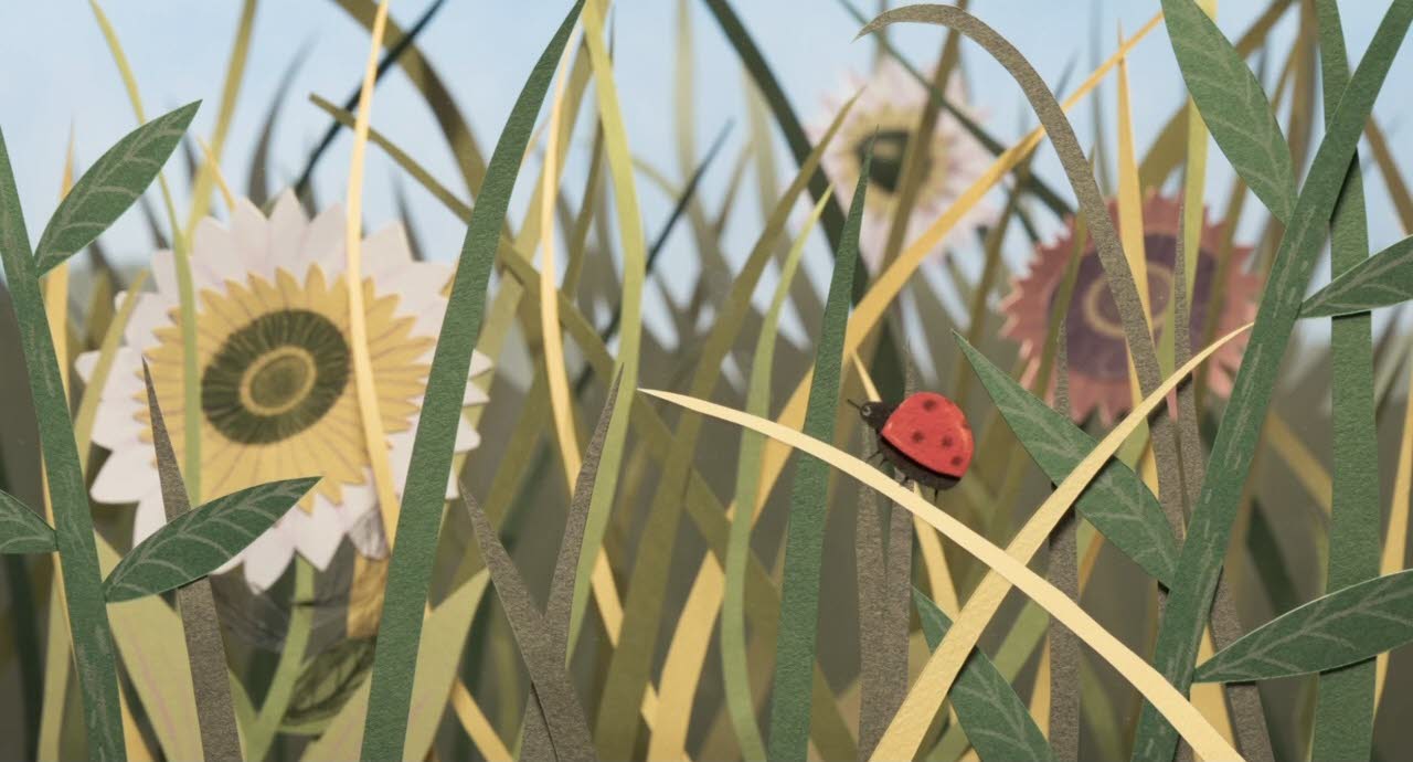 Eine Wiese mit Gräsern und Blumen und einem Marienkäfer, aufgenommen aus Bodenhöhe.