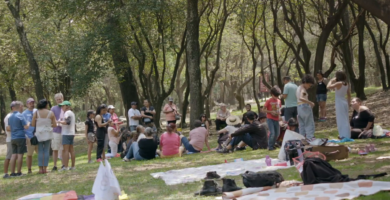 Rund 30 Menschen eines Trans*-Communitytreffens sitzen und stehen in kleinen Gruppen auf einer Wiese in einem Park. In der Mitte des Bildes unterhält sich eine größere Gruppe im Kreis, Picknickdecken liegen auf der Wiese.