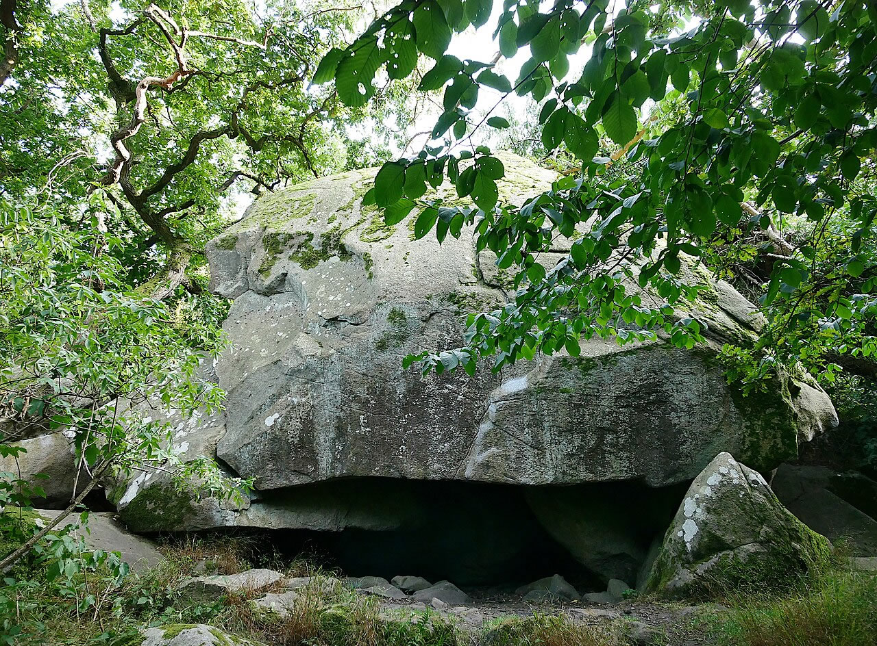 Foto eines Felsblocks in einem Wald